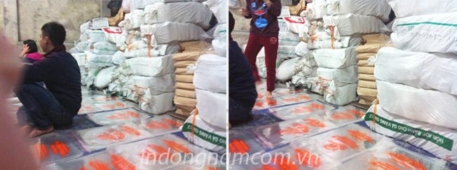 Báo giá in túi nilon tại xưởng in trực tiếp