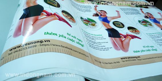 in decal PP cán bóng hoặc cán mờ