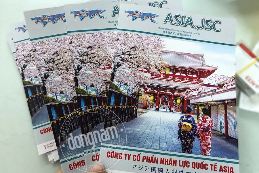 in catalogue tư vấn du học