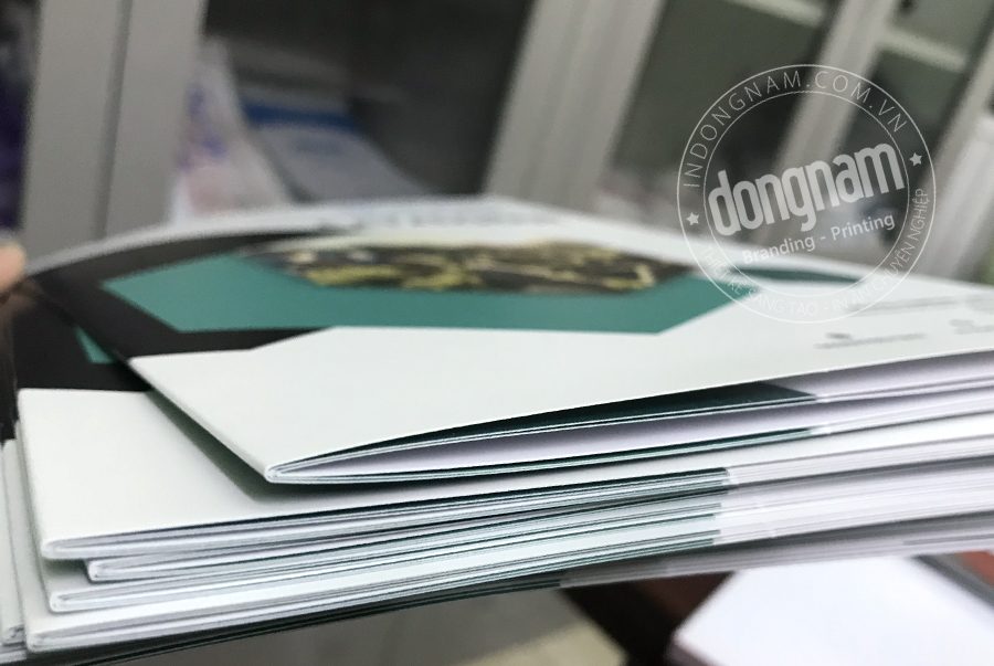 in catalogue số lượng ít thường đóng quyển ghim lồng