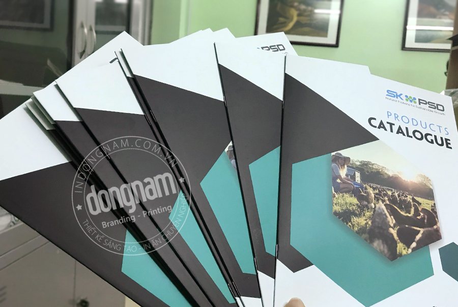 in catalogue số lượng ít lấy ngay