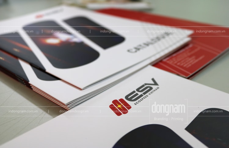 Mẫu catalogue về vật tư thiết bị công nghiệp 
