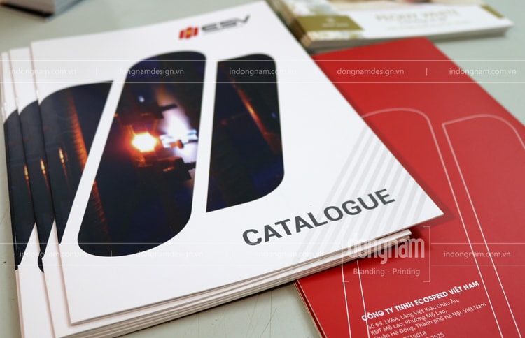 in catalogue giới thiệu năng lực công ty