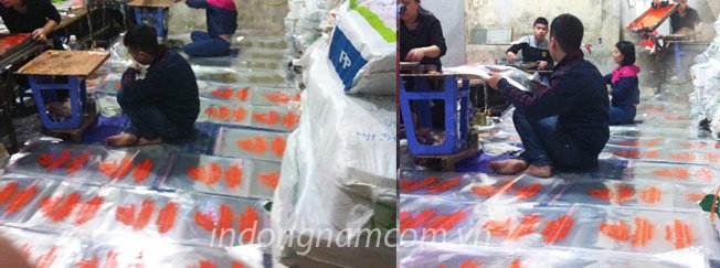 xưởng in túi ni lông giá rẻ tại hà nội xưởng in túi ni lông giá rẻ tại hà nội
